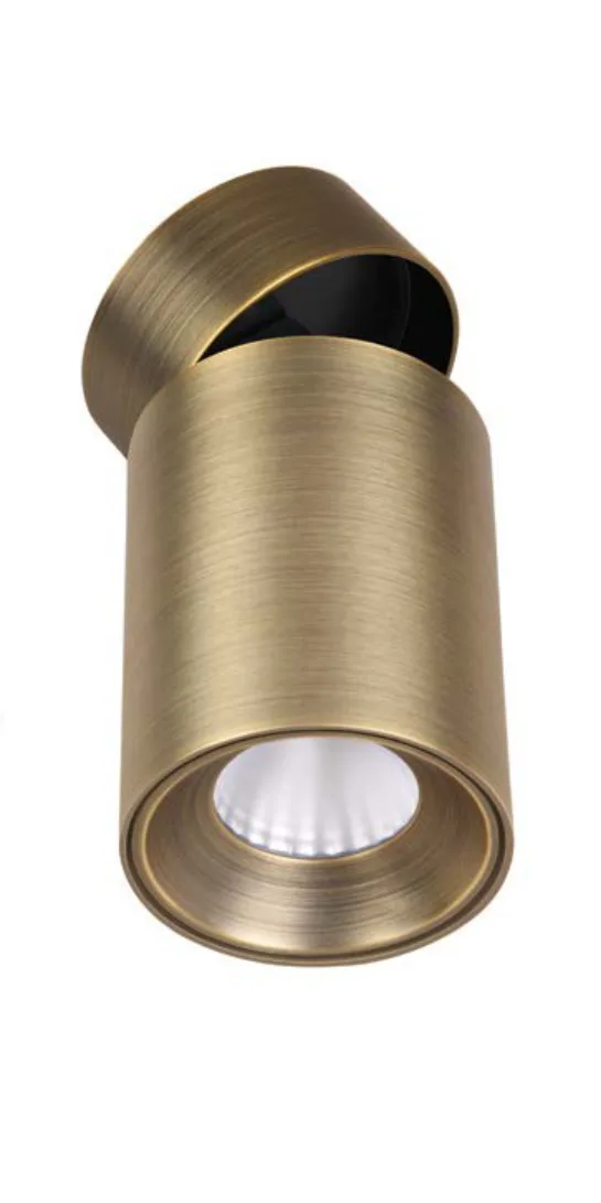 Philips Surface and Flex Surface (Brass)