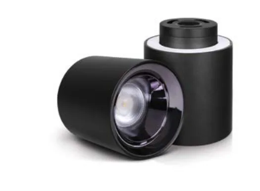 Philips Up-Down Surface Spot
